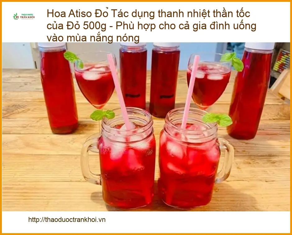 Hoa Atiso Đỏ 500g thanh nhiệt thần tốc - Đơn vị Cung cấp Có sẵn TPHCM