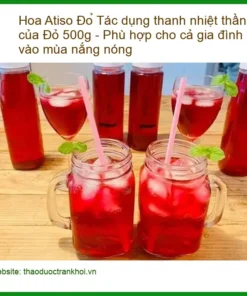 Hoa Atiso Đỏ 500g thanh nhiệt thần tốc cho gia đình - Địa chỉ Bán Giao nhanh