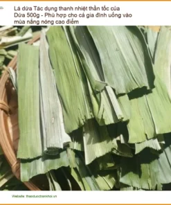 Lá Dứa 500g Thanh Nhiệt Thần Tốc Cho Gia Đình - Địa chỉ Bán Giao nhanh TPHCM