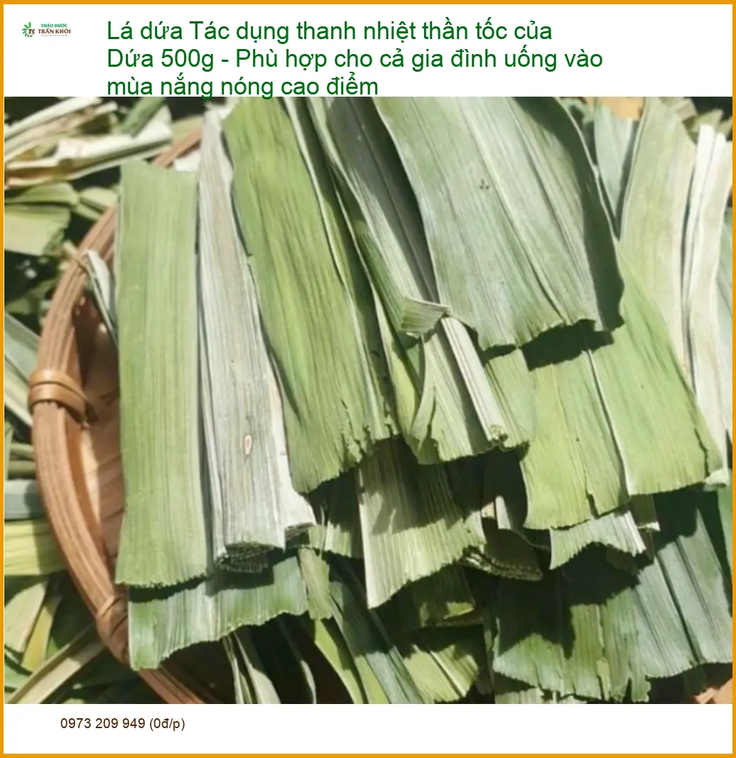 Lá Dứa 500g thanh nhiệt thần tốc - Đơn vị bán giao nhanh TPHCM