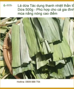 Lá Dứa 500g thanh nhiệt thần tốc cho mùa nóng - Địa chỉ Bán Giao nhanh