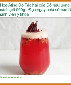 Tác hại của Hoa Atiso Đỏ nếu uống sai cách gói 500g - Địa chỉ Bán Giao nhanh