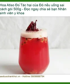 Tác hại Hoa Atiso Đỏ gói 500g uống sai cách - Địa chỉ bán giao nhanh TPHCM