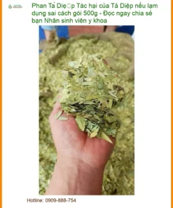 Tác hại của Phan Tả Diệp nếu lạm dụng sai cách gói 500g - Địa chỉ bán TPHCM