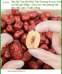 Táo Đỏ Khô Tân Cương trị suy nhược cơ thể gói 500g - Giao nhanh TPHCM