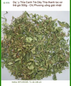 Trà Dây Thìa Canh thanh lọc cơ thể gói 500g - Chị Phương uống giải nhiệt | Bán