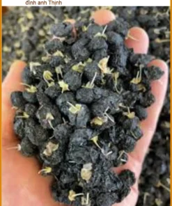 Trà Hắc Kỷ Tử thanh lọc cơ thể nhuận tràng gói 1kg - Bán sỉ lẻ TPHCM