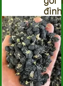 Trà Hắc Kỷ Tử thanh lọc cơ thể nhuận tràng 1kg - Địa chỉ Sỉ lẻ Có sẵn TPHCM