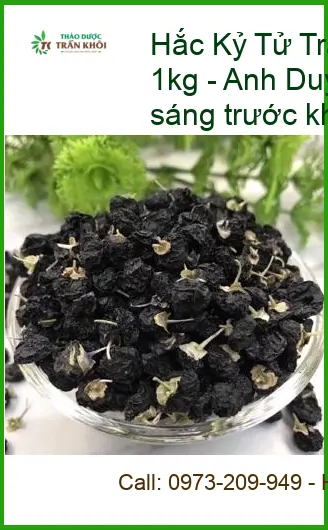 Trà Hắc Kỷ Tử tốt cho người hay mỏi mắt gói 1kg - Đơn vị cung cấp TPHCM