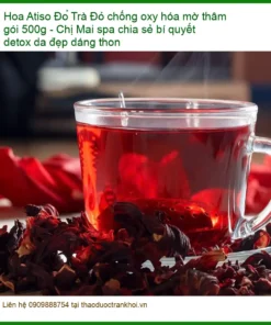 Trà Hoa Atiso Đỏ chống oxy hóa mờ thâm gói 500g - Địa chỉ bán giao nhanh