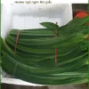Trà Lá Dứa giảm huyết áp tốt cho người già gói 1kg - Địa chỉ Bán Giao nhanh