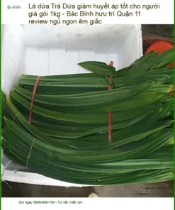 Trà Lá Dứa giảm huyết áp tốt cho người già gói 1kg - Địa chỉ Bán Giao nhanh