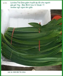 Trà Lá Dứa giảm huyết áp tốt cho người già 1kg - Đơn vị Bán Có sẵn TPHCM