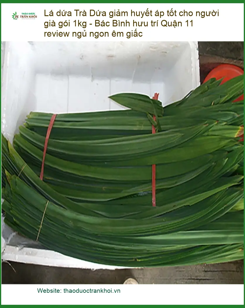Trà Lá Dứa giảm huyết áp tốt cho người già 1kg - Địa chỉ Bán Giao nhanh TPHCM