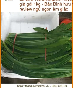 Trà Lá Dứa giảm huyết áp tốt cho người già gói 1kg - Địa chỉ Bán Giao nhanh