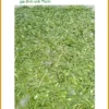 Trà Lá Dứa thanh lọc cơ thể giảm mỏi mệt gói 1kg - Địa chỉ Bán Giao nhanh