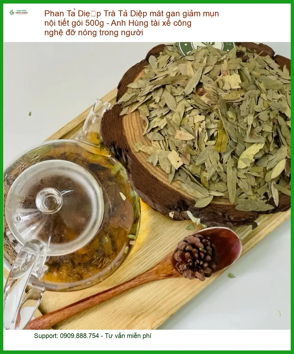 Trà Phan Tả Diệp mát gan giảm mụn nội tiết 500g - Địa chỉ Sỉ lẻ Có sẵn TPHCM