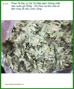 Trà Phan Tả Diệp sạch không chất bảo quản gói 500g - Sỉ lẻ giao nhanh TPHCM