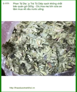 Trà Phan Tả Diệp sạch không chất bảo quản 500g - Giao nhanh TPHCM
