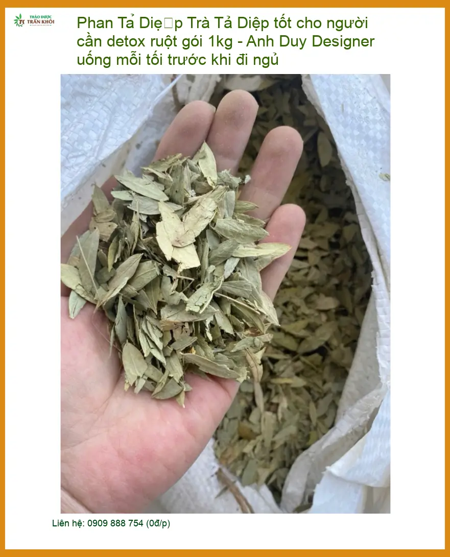 Trà Phan Tả Diệp detox ruột gói 1kg - Đơn vị cung cấp có sẵn TPHCM