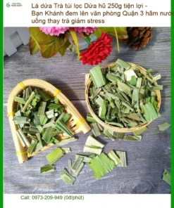 Trà túi lọc Lá Dứa hũ 250g tiện lợi - Đơn vị cung cấp có sẵn TPHCM
