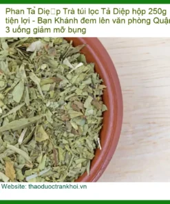 Trà túi lọc Phan Tả Diệp hộp 250g tiện lợi - Địa chỉ bán giao nhanh TPHCM