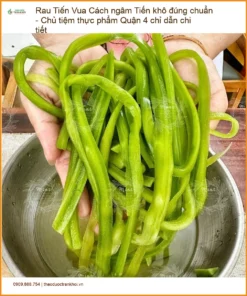 Cách ngâm Rau Tiến Vua khô đúng chuẩn - Địa chỉ Bán Giao nhanh TPHCM