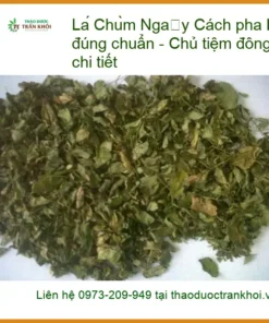 Cách pha Lá Chùm Ngây khô đúng chuẩn - Địa chỉ bán sỉ lẻ giao nhanh tại Sài Gòn