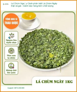 Cách phân biệt Lá Chùm Ngây thật và giả - Cảnh báo hàng kém chất lượng
