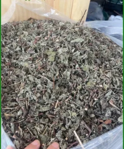 Chè Dây loại đẹp 500g cắt khúc hay nguyên lá - TPHCM Bán Giao nhanh