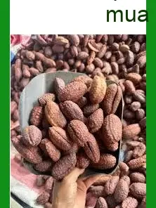 Chuối Hạt Rừng quà tặng Phú Nhuận, mua gấp | Đơn vị bán giao nhanh TPHCM