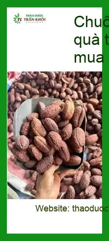 Chuối Hạt Rừng quà tặng Phú Nhuận, mua gấp | Đơn vị bán giao nhanh TPHCM