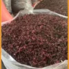 Cửa hàng bán Hoa Atiso Đỏ bán sỉ lẻ 1kg - Đơn vị Cung cấp Có sẵn TPHCM