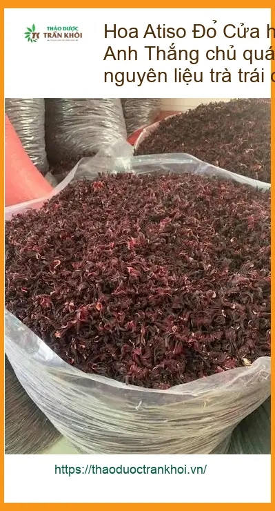 Cửa hàng bán Hoa Atiso Đỏ bán sỉ lẻ 1kg - Đơn vị Cung cấp Có sẵn TPHCM