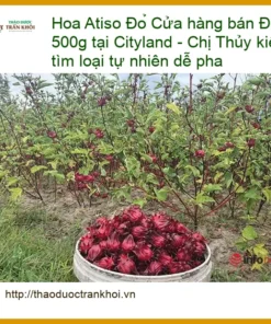 Hoa Atiso Đỏ vị chua thanh 500g tại Cityland - Địa chỉ Cung cấp Giao nhanh