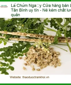 Lá Chùm Ngây Tân Bình uy tín - Địa chỉ Cung cấp Sỉ lẻ Giao nhanh