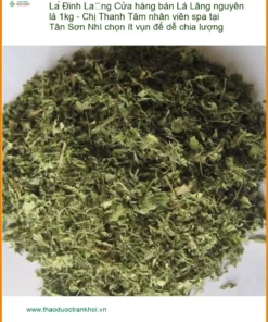 Cửa hàng bán Lá Đinh Lăng nguyên lá 1kg - Địa chỉ cung cấp giao nhanh TPHCM