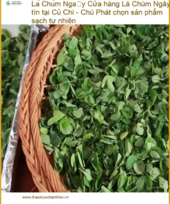 Lá Chùm Ngây uy tín tại Củ Chi - Chú Phát - Đơn vị cung cấp sỉ lẻ có sẵn