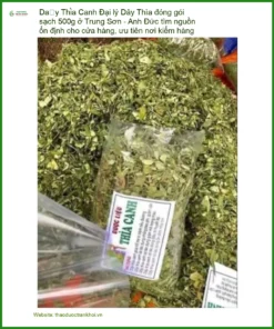 Dây Thìa Canh đóng gói sạch 500g - Đơn vị Cung cấp Có sẵn tại TPHCM