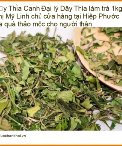 Dây Thìa Canh làm trà 1kg - Đơn vị Cung cấp Dây Thìa Canh Giao nhanh TPHCM