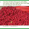 Đại lý Hoa Atiso Đỏ nguyên cánh 500g - Địa chỉ Bán Giao nhanh TPHCM