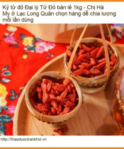 Đại lý Kỷ Tử Đỏ bán lẻ 1kg - Địa chỉ bán sỉ lẻ Kỷ Tử Đỏ giao nhanh TPHCM