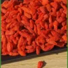 Đại lý Kỷ Tử Đỏ giao nhanh 500g - Đơn vị Cung cấp Sỉ lẻ uy tín TPHCM