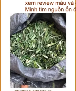 Đại lý Lá Dứa bán sỉ 1kg tại Phú Thọ - Địa chỉ Cung cấp Giao nhanh TPHCM