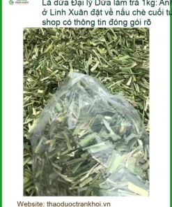 Lá Dứa tươi làm trà, nấu chè 1kg - Địa chỉ cung cấp sỉ lẻ, giao nhanh TPHCM