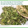Dây Thìa Canh làm trà 500g tại Hiệp Phước - Cung cấp sỉ lẻ có sẵn TPHCM