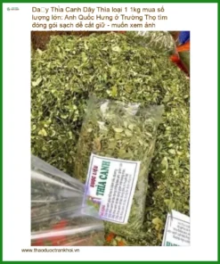 Dây Thìa Canh loại 1 1kg sỉ TPHCM - Đơn vị Cung cấp Giao nhanh Trường Thọ