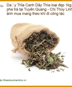 Dây Thìa Canh loại đẹp 1kg cách pha trà Tuyên Quang - Địa chỉ TPHCM Cung cấp Có sẵn