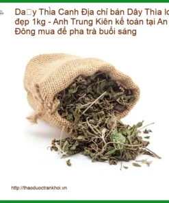 Địa chỉ bán Dây Thìa Canh loại đẹp 1kg - Cung cấp sỉ lẻ, giao nhanh TPHCM