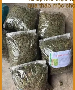 Lá Đinh Lăng giao nhanh 500g tại TPHCM - Địa chỉ Bán Sỉ lẻ Có sẵn